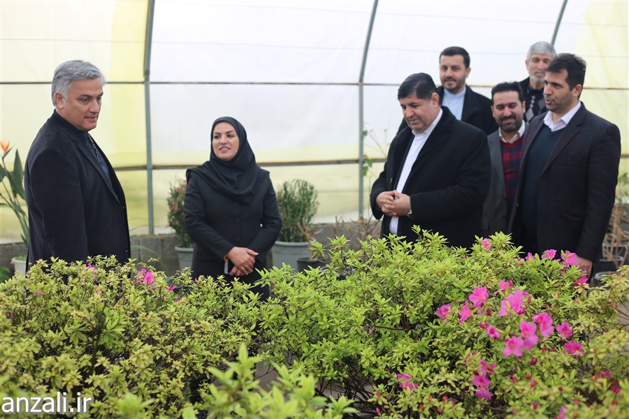 گزارش تصویری بازدید فرمانداربندرانزلی از پروژه های شهرداری